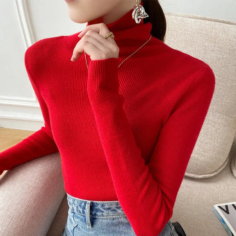 Ribbed Turtleneck Knitted Jumper for Ladies